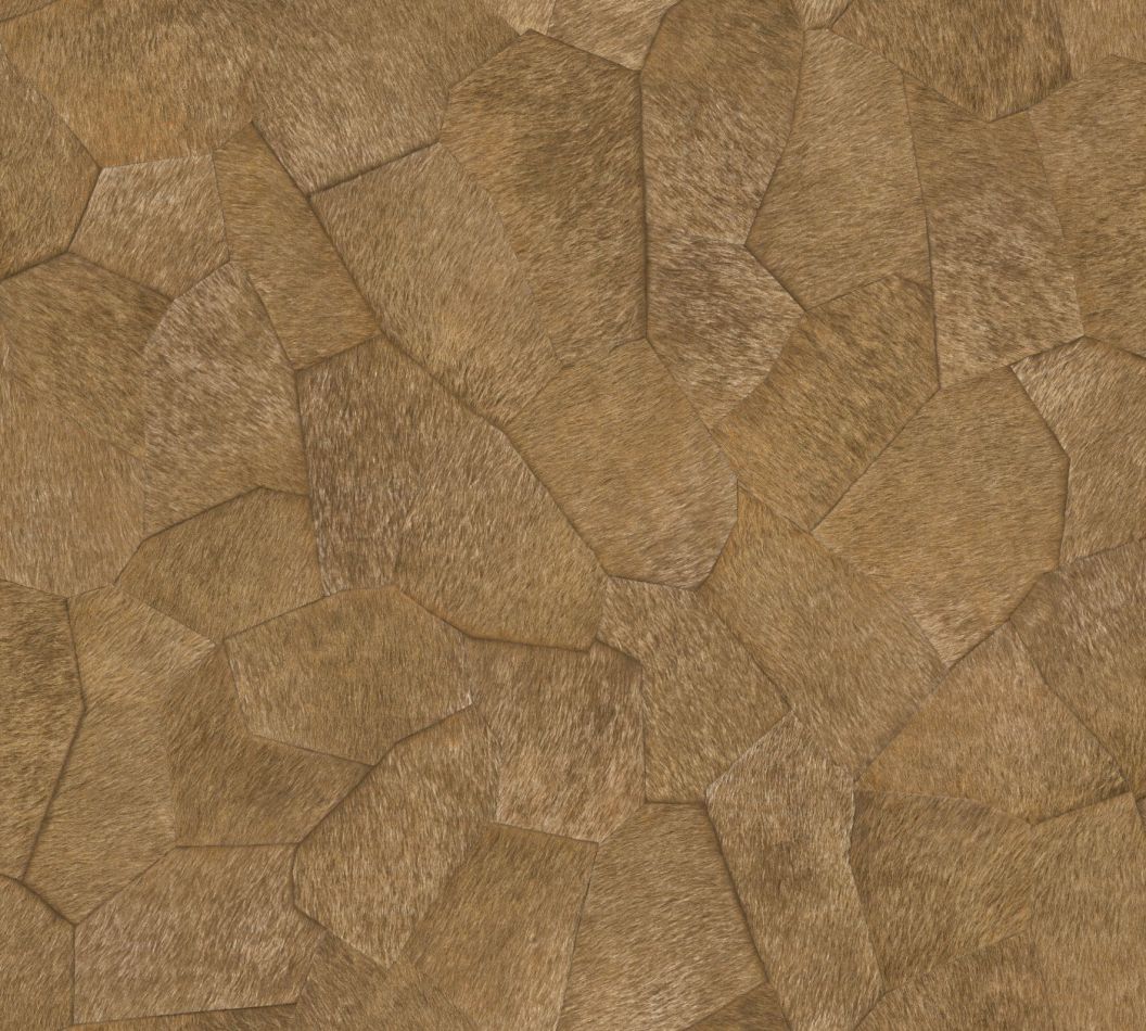 Preview: Pampa VP967 15