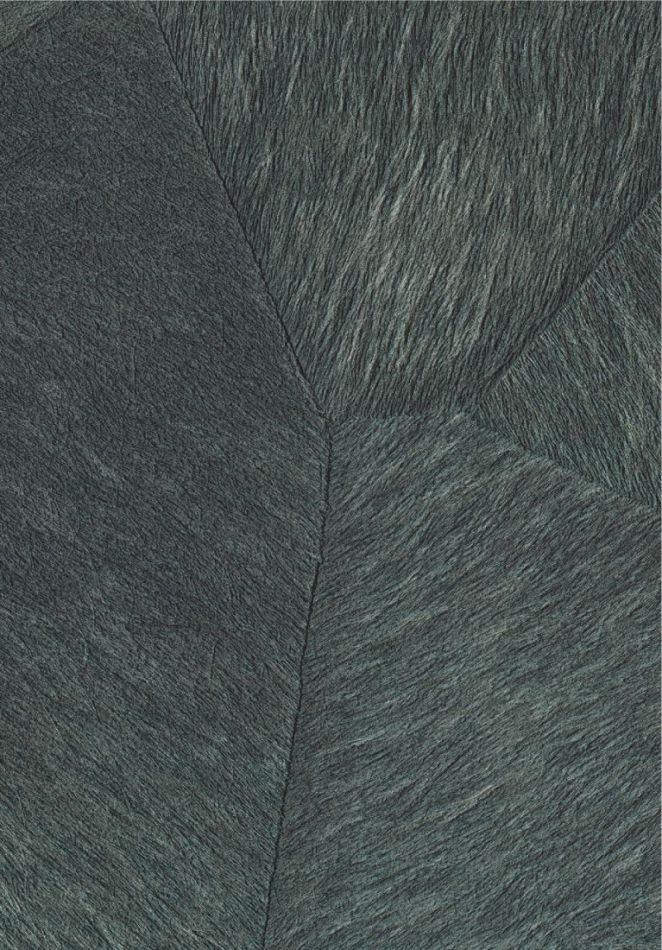 Preview: Pampa VP967 42