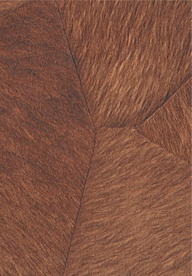 Preview: Pampa VP967 75