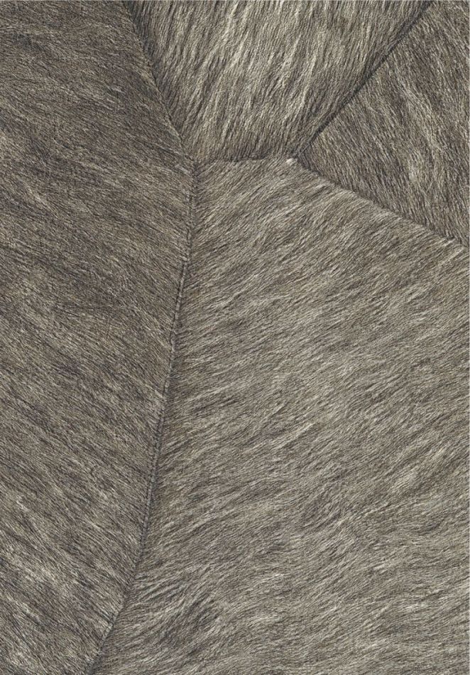 Preview: Pampa VP967 81