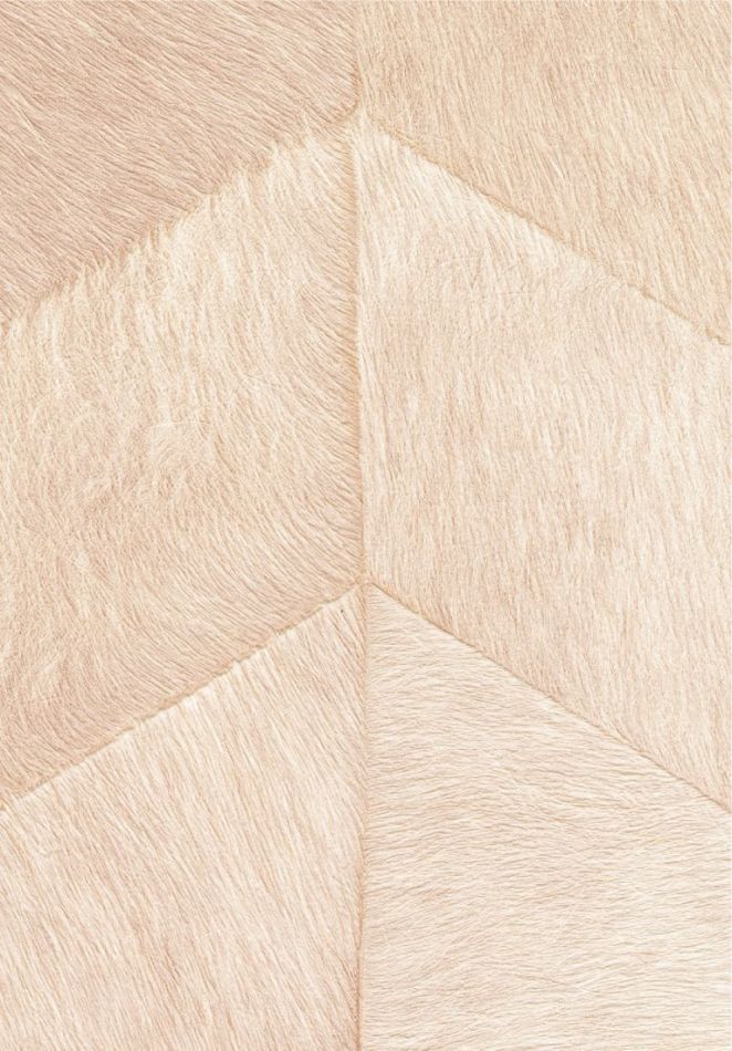 Preview: Santa Fe VP968 51