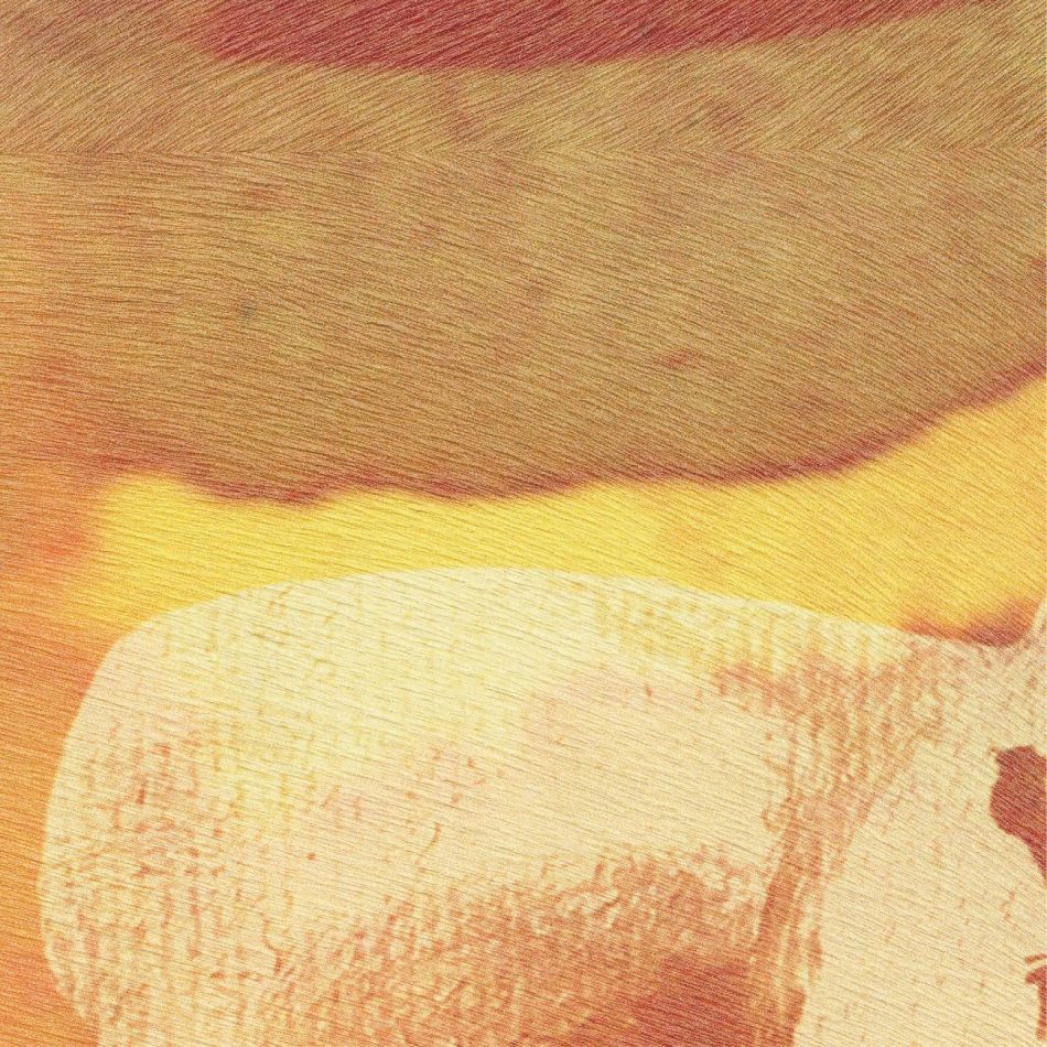 Preview: L'appel de la forêt VP972 01