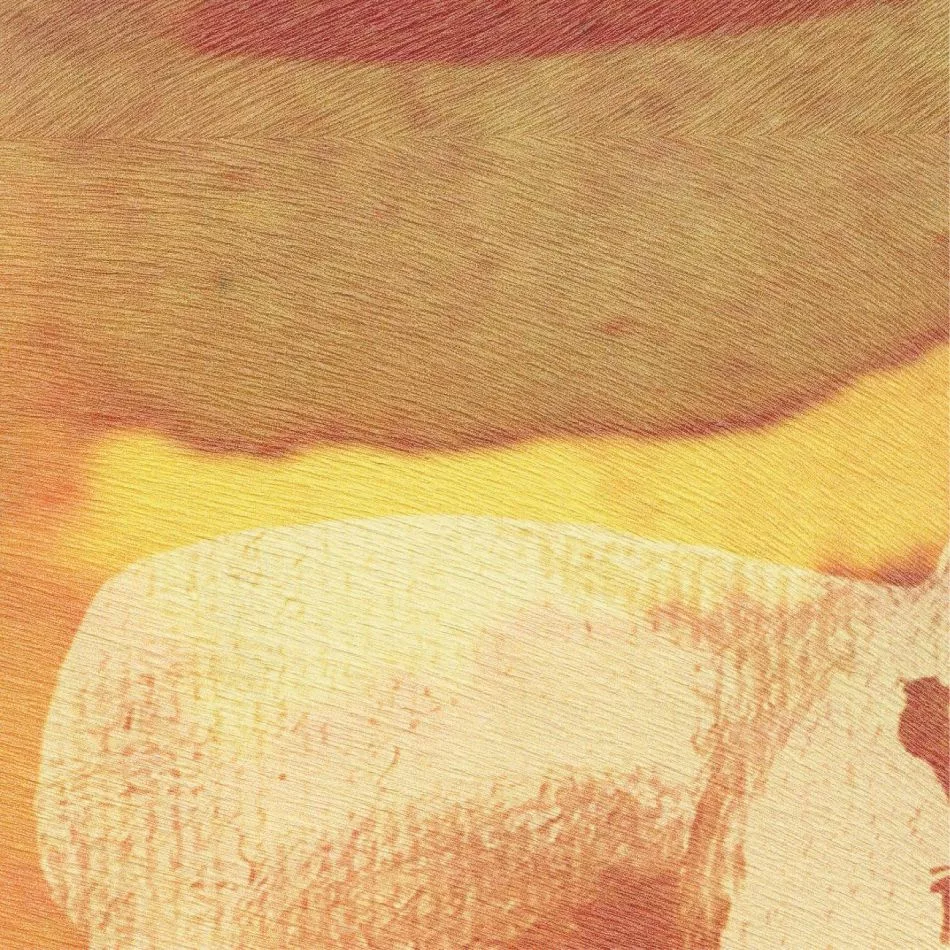 L'appel de la forêt VP972 01