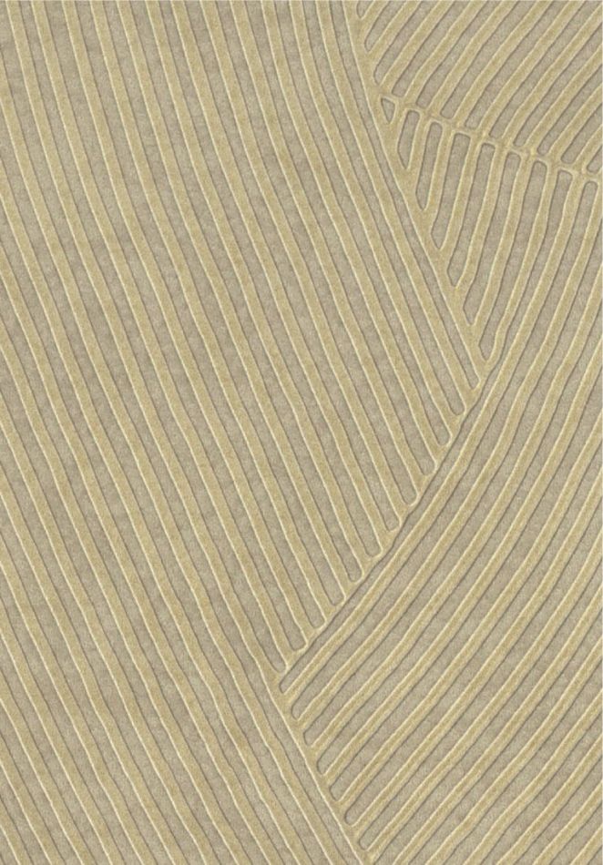 Preview: Circolo VP976 06