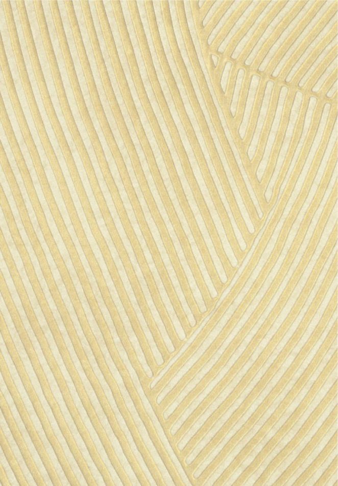 Preview: Circolo VP976 12