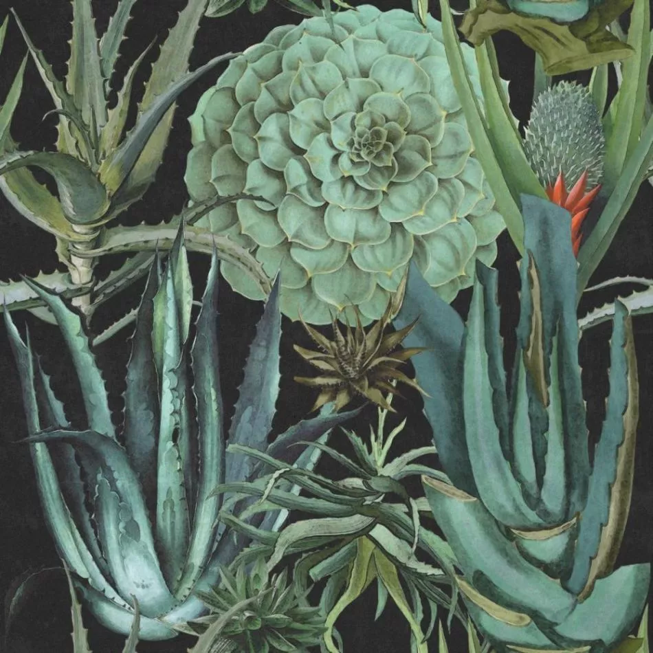 Succulentus Anthracite WP20167