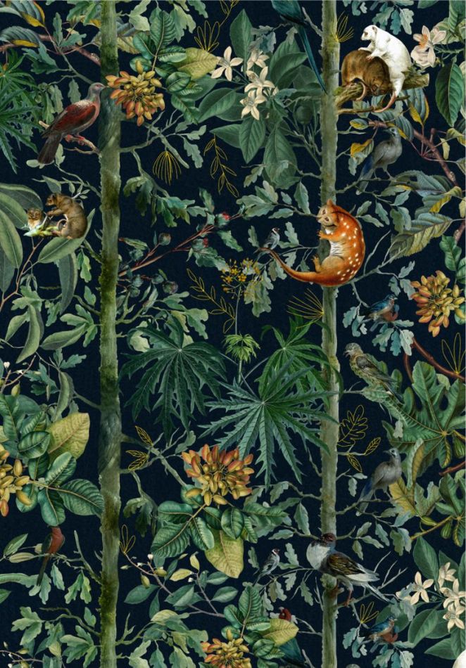 Preview: WILDLIFE OF PAPUA Dark WP20527