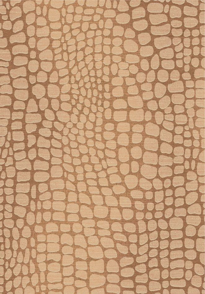 Preview: Panthera Lion ZON304