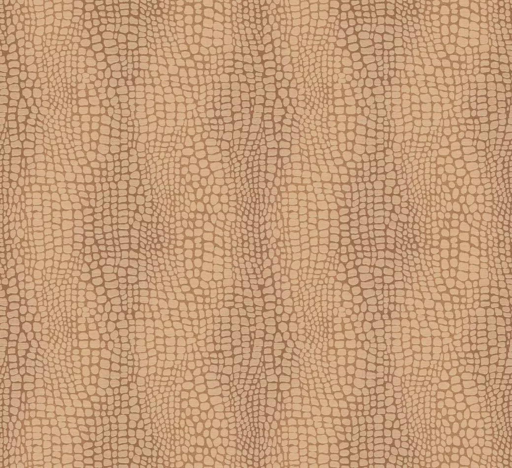 Panthera Lion ZON304