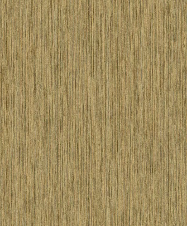 Barque Jungle CAB005