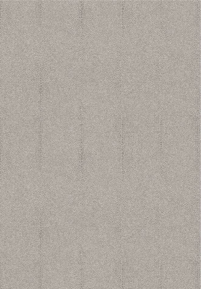 Iguana Moonlight CAB902