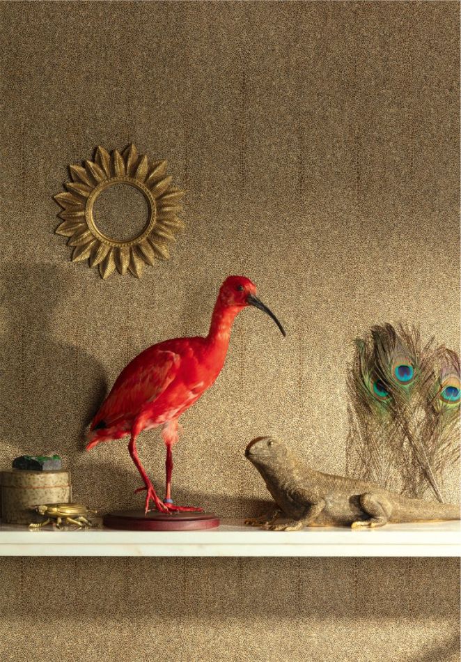 Preview: Iguana Amber CAB904