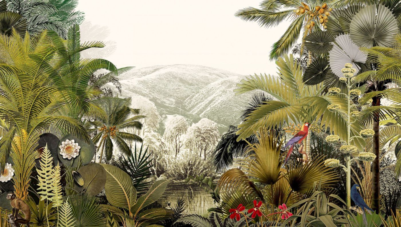 Preview: Khroma Discover Oasis DG2DIS101