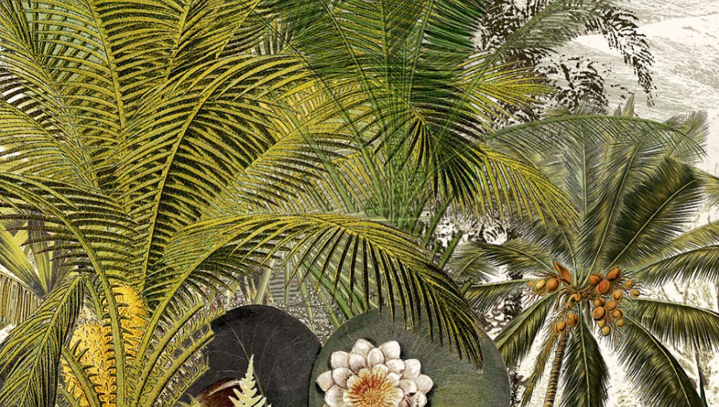 Preview: Khroma Discover Oasis DG2DIS101