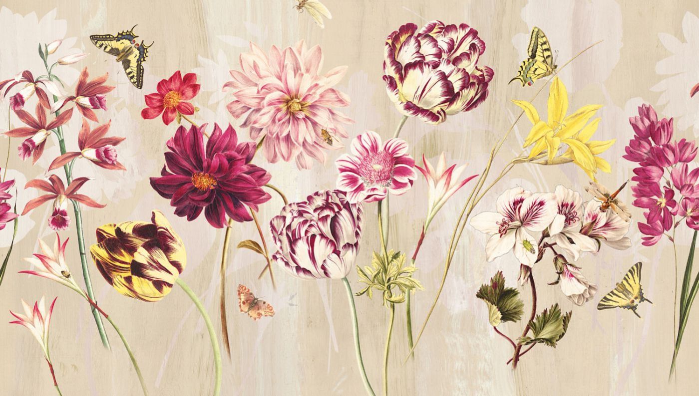 Preview: Khroma Elise Blush DG2ELI101