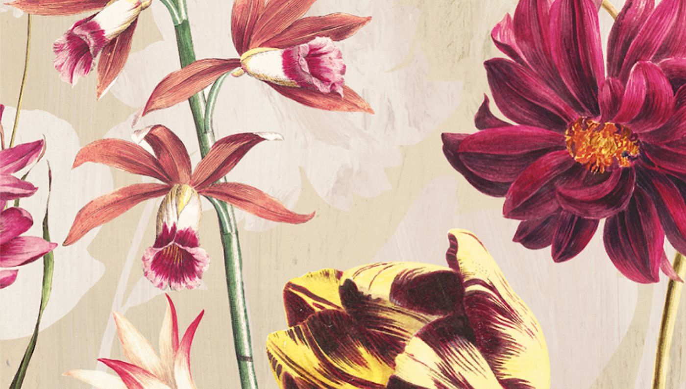 Preview: Khroma Elise Blush DG2ELI101