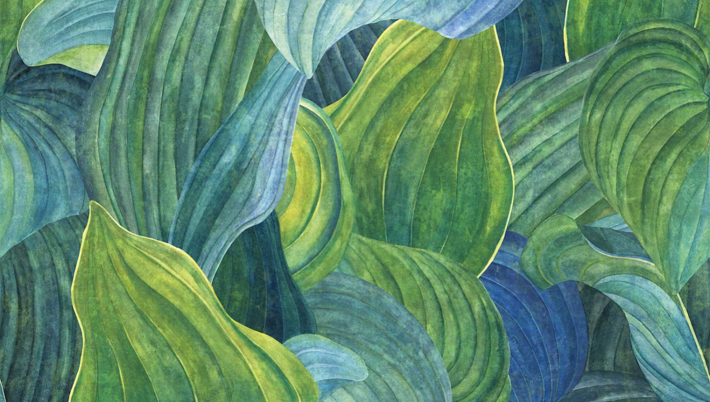 Preview: Khroma Hosta Aqua DG2HOS101