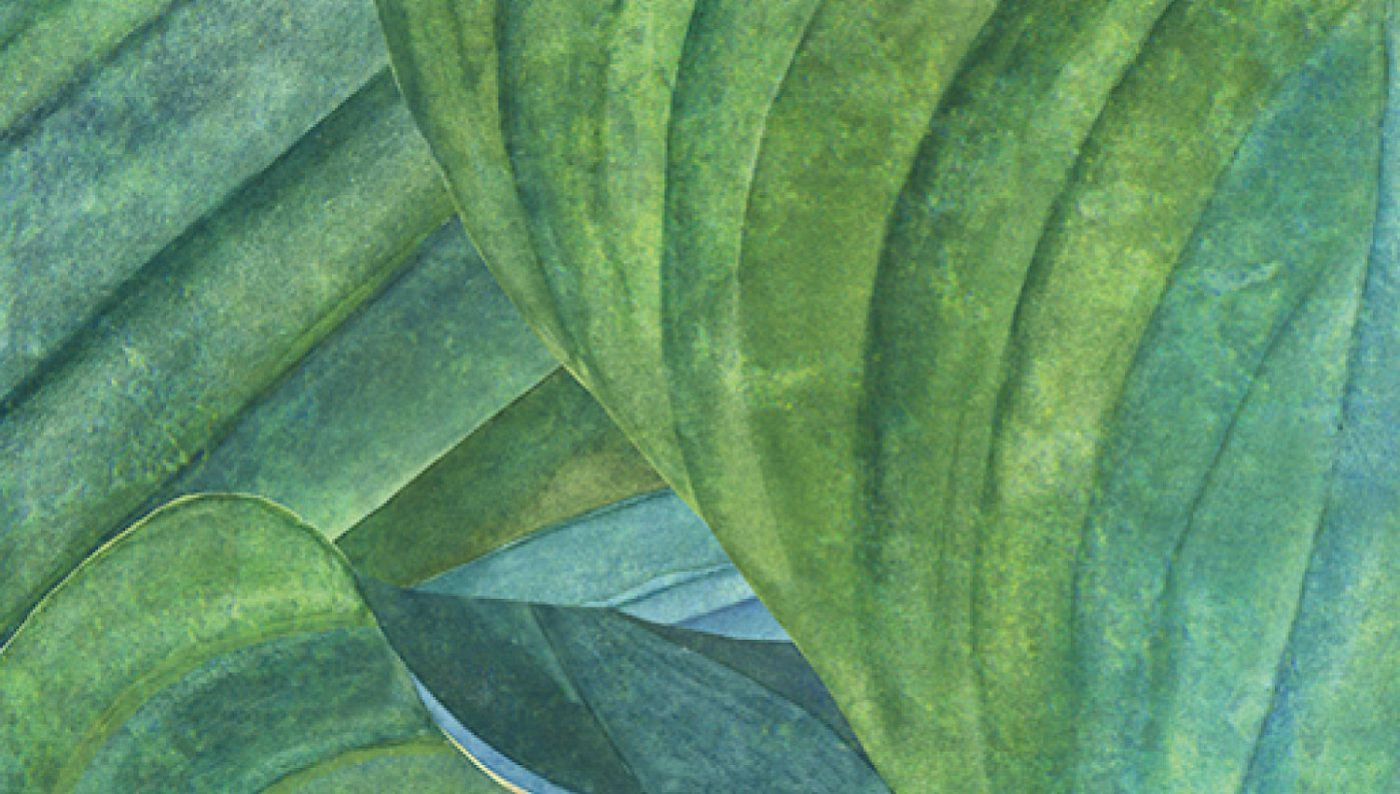 Preview: Khroma Hosta Aqua DG2HOS101