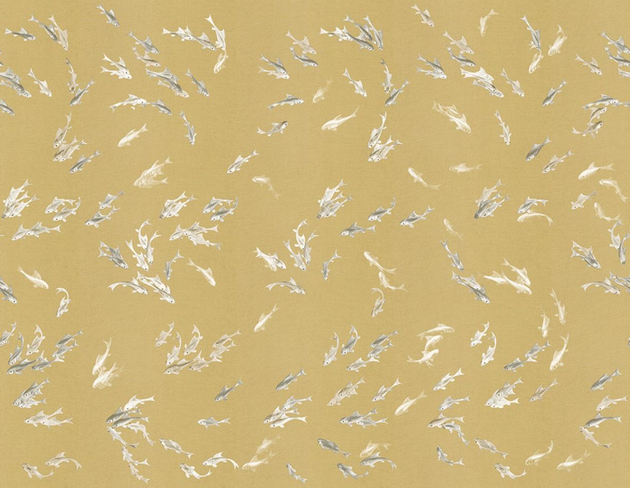 Preview: Hakma KMN11-A