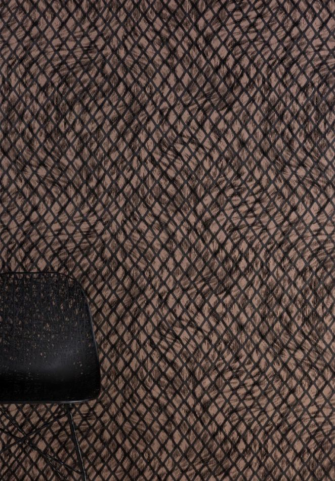 Preview: Aristo Quagga MO2031