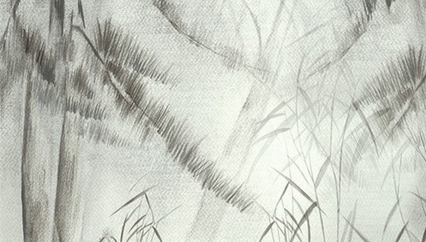 Preview: Khroma Nuage Lake DG2NUA101