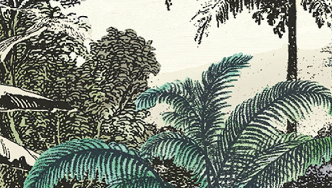 Preview: Khroma Safari Pampas DG2SAF101