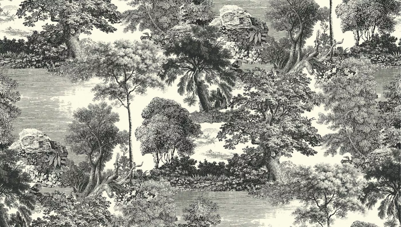 Salcey Forest DG2SAL101 - 260