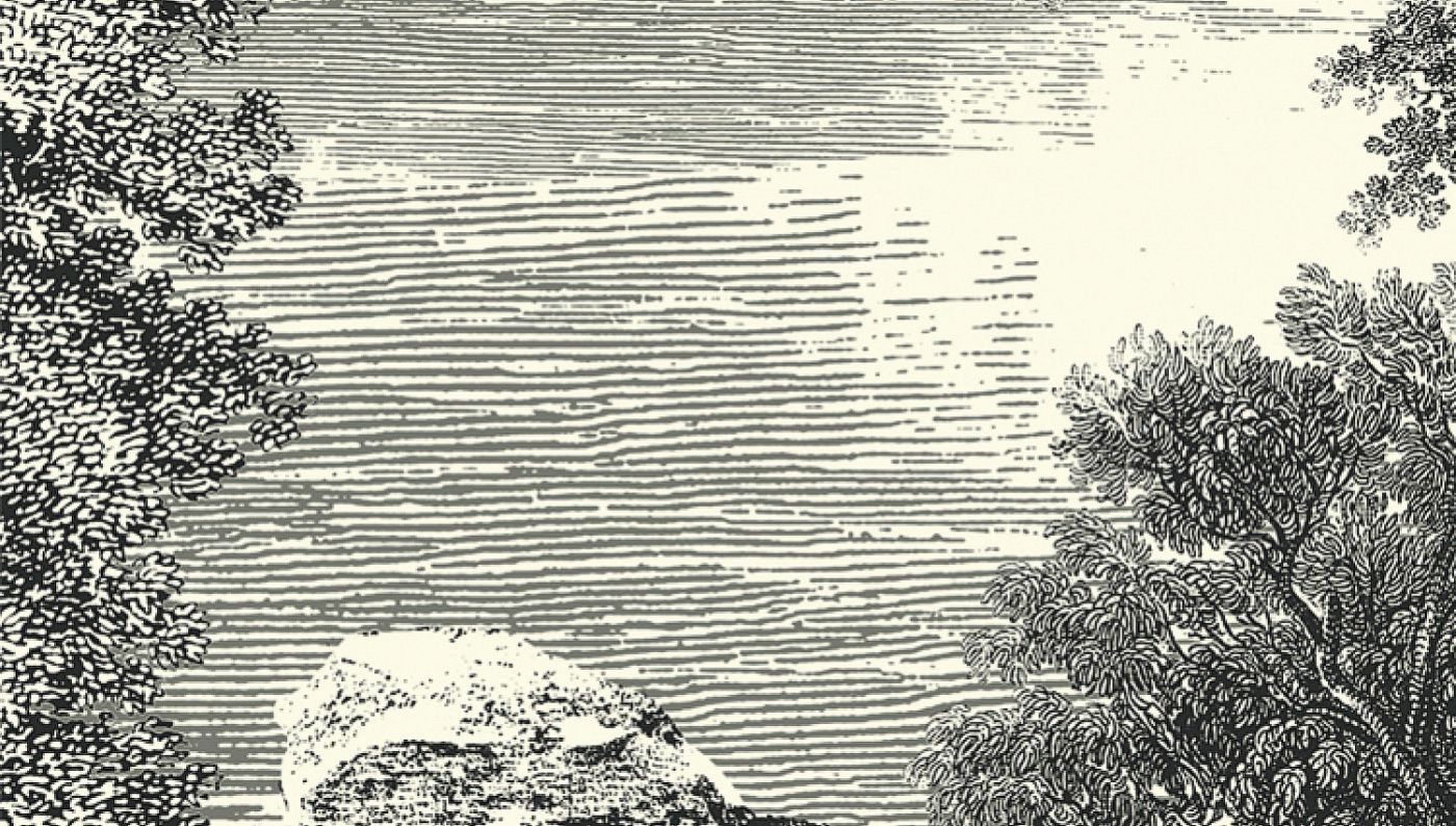 Preview: Khroma Salcey Forest DG2SAL101