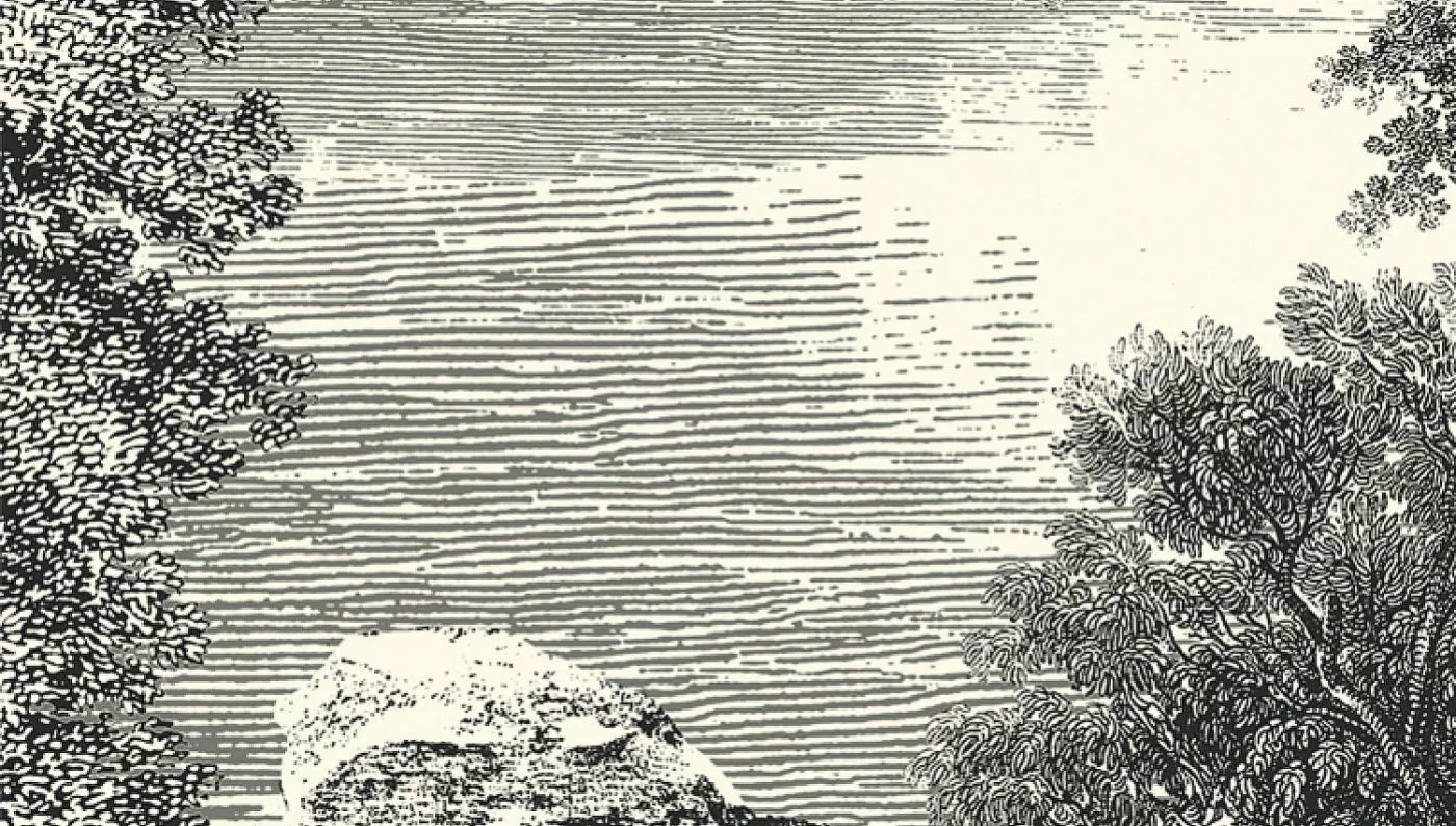 Salcey Forest DG2SAL101 - 300