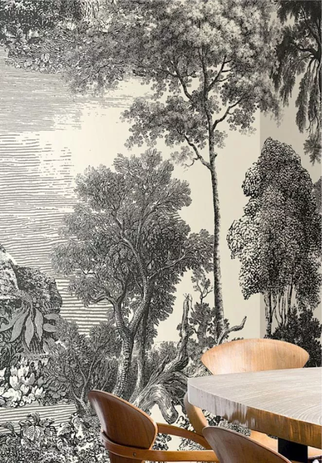 Salcey Forest DG2SAL101 - 260