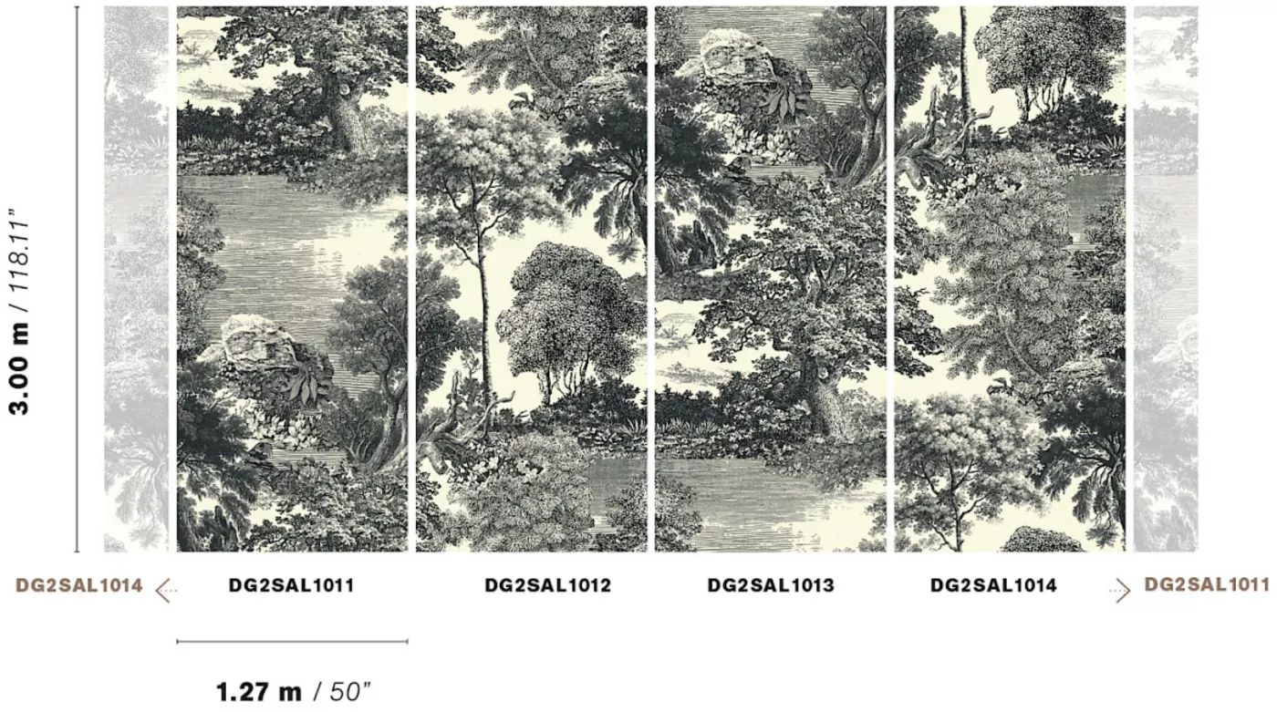 Salcey Forest DG2SAL101 - 300