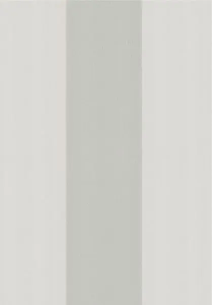 Broad Stripe Forum