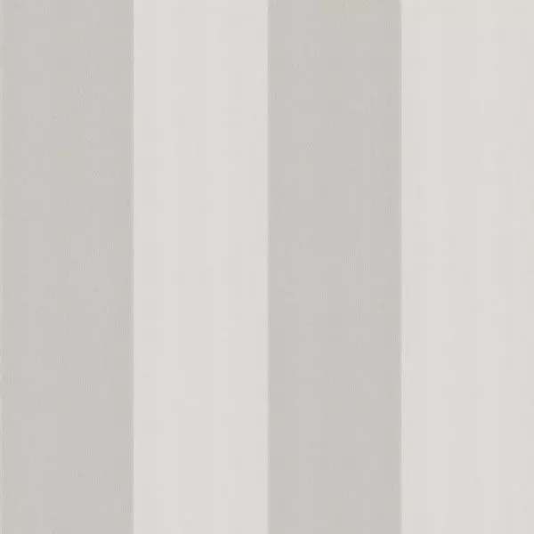Broad Stripe Forum