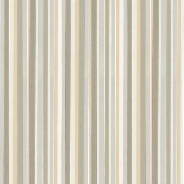 Tailor Stripe - Taupe