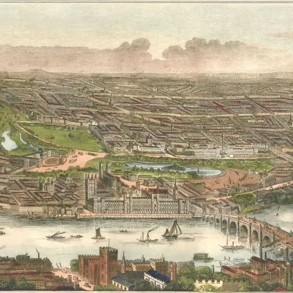 Thames Border - Original