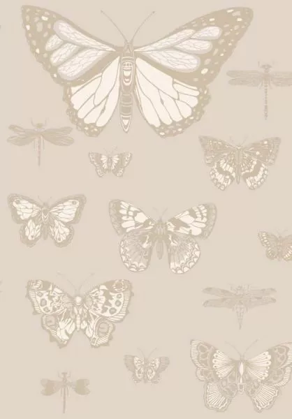 Butterflies & Dragonflies 103/15064