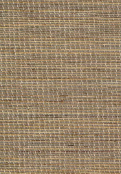 Favoris RM1070 05 Briser les frontières