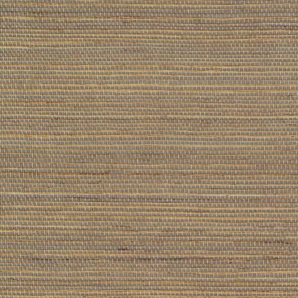 Favoris RM1070 05 Briser les frontières