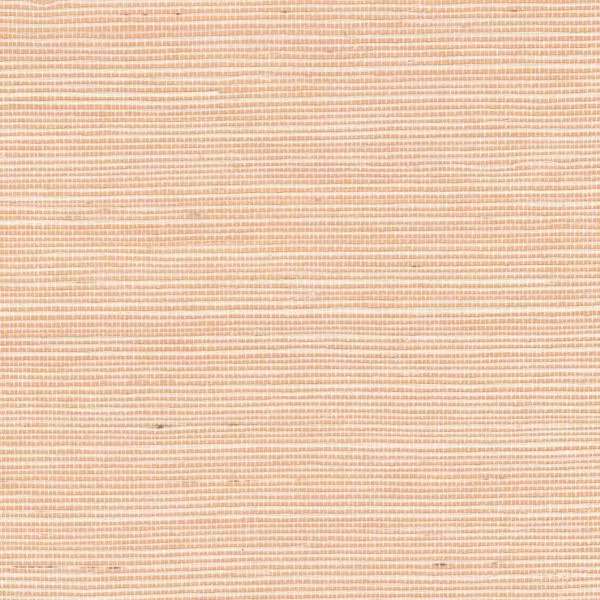 Sisal métallique RM1073 50 Une valeur refuge