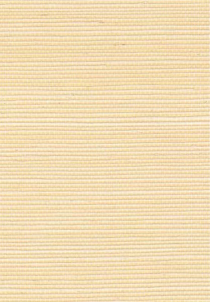 Sisal métallique RM1073 91 Le temple du luxe