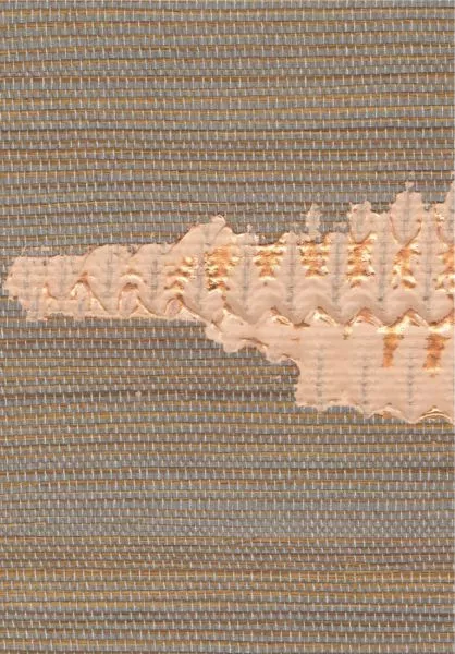 Orion RM1075 05 Un précieux enrichissement