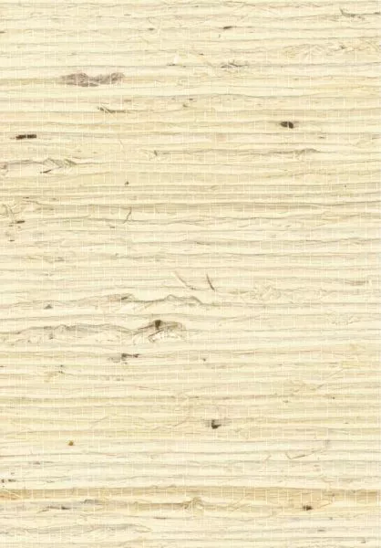 Grasscloth RM1083 01