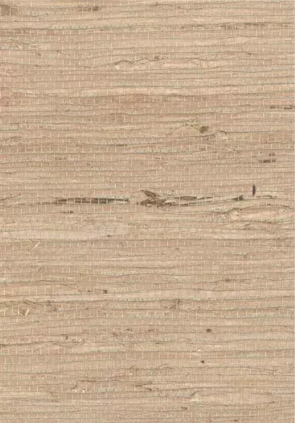 Grasscloth RM1083 05