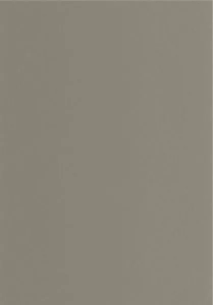 Pigments 200339404 Gris elephant