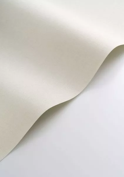 Caractère 201171010 Sable