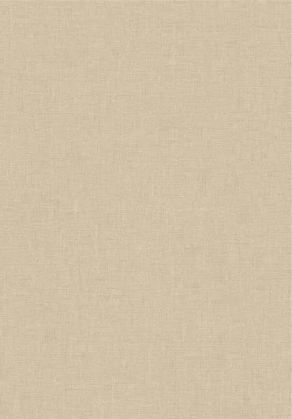 Caractère 201171313 Beige Lin