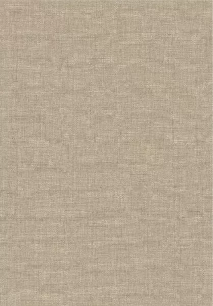 Caractère 201171505 Taupe