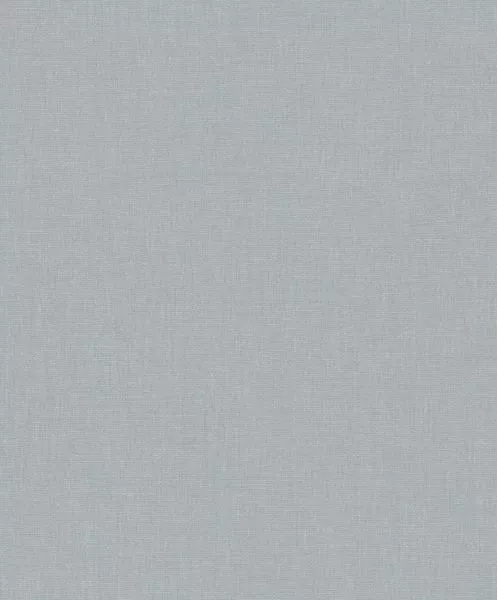 Caractère 201176306 Bleu horizon