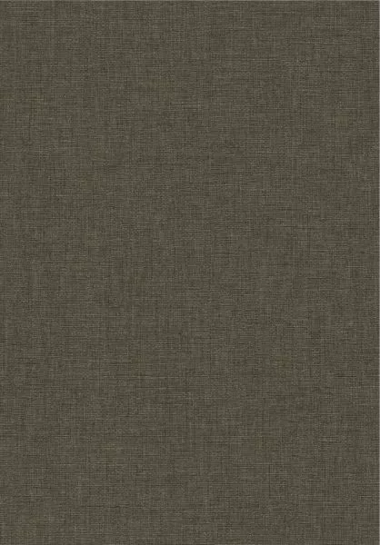 Caractère 201179889 Noir fusain