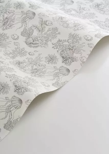 Côte sauvage 201479101 Gris mouette